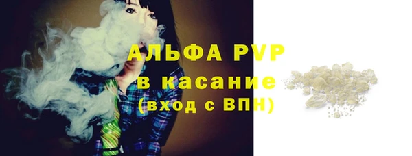 СК Сафоново