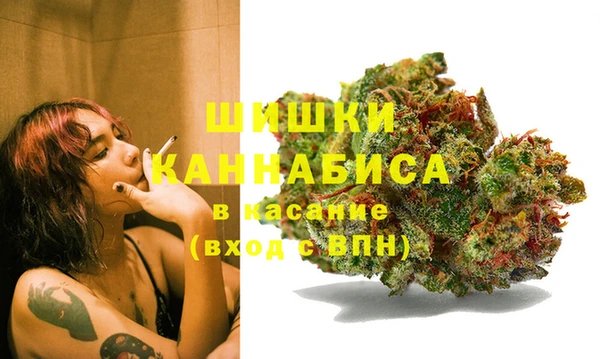 бошки Саяногорск