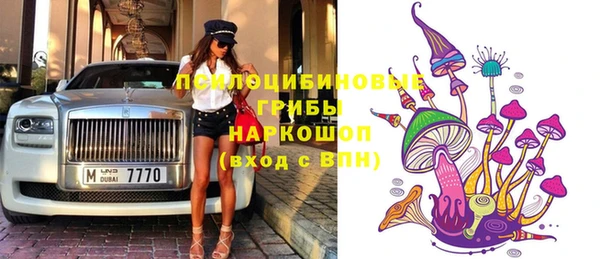 молекула духа Ростов