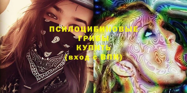 ПСИЛОЦИБИНОВЫЕ ГРИБЫ Россошь